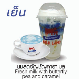 นมสดอัญชัญคาราเมล(เย็น)