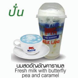 นมสดอัญชัญคาราเมล(ปั่น)