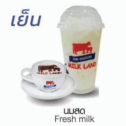 นมสด(เย็น)