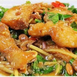 เนื้อปลากระพงผัดคื่นไช่