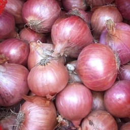 หัวหอมแขก