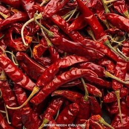 พริกแห้ง