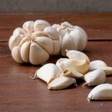 กระเทียมหัวใหญ่