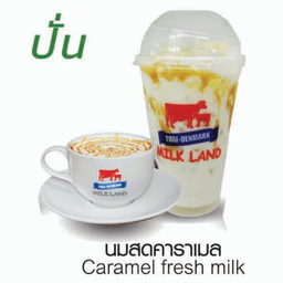 นมสดคาราเมล(ปั่น)