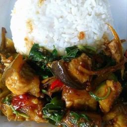 ึปลาบึกผัดเผ็ดราดข้าว