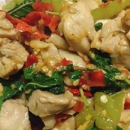 ผัดกระเพราไก่