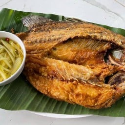 แอบแซ่บ พหลโยธิน34