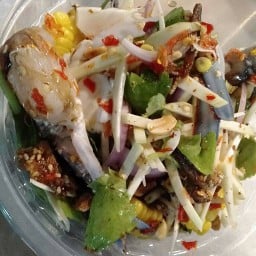 ยำรสเด็ดเขตวัดดัด & หม่าล่าหัวร้อน(สาขาเทียนดัด)