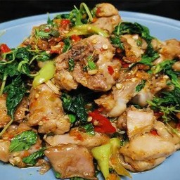 ผัดกะเพราพริกคั่วไก่ (กับข้าว)