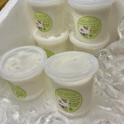 Eatmepls Pudding พุดดิ้ง เต้าฮวยมะพร้าวอ่อน Homemade