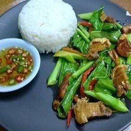 ผัดคะน้าราดข้าว