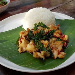 กระเพรา ปลาหมึกราดข้าว