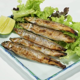 ปลาไข่ย่าง