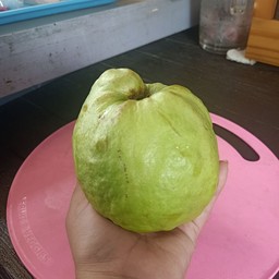 ปั่นอร่อย