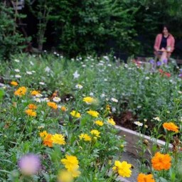 Twig Cafe & Hidden Backyard ดอนเมือง กรุงเทพฯ