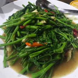 ผัดผักบุ้งไฟแดง Stir fried Morning glory