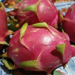 ครัวยายลักตามสั่ง เจริญพัฒนา