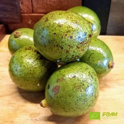 Fruit organic Avocado Peterson 1pc