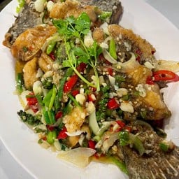 กระพงทอดผัดพริกสด (ตัว)