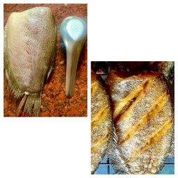 ปลาสลิดไซร์ใหญ่ ทอด พร้อมทาน