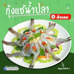 ทำมาชาติ บ้านโพธิ์ บ้านโพธิ์