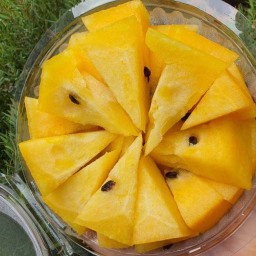 รุ่งเรืองผลไม้