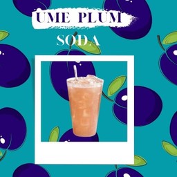 Ume plum soda บ๊วยอุเมะโซดา