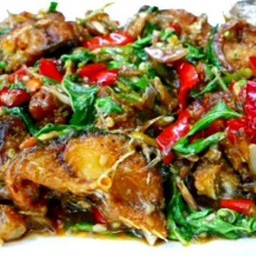 ข้าวกระเพราปลาดุกทอด