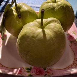 ฝรั่งสด