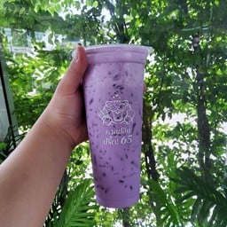 นมเผือก