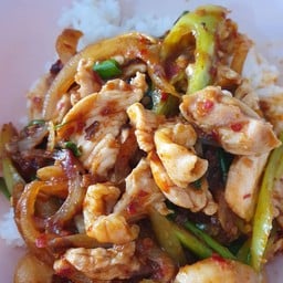 ป้าดาอาหารตามสั่ง