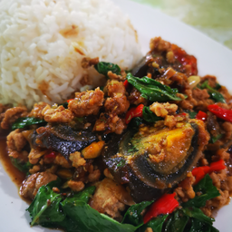 ผัดกระเพราไข่เยียวม้า