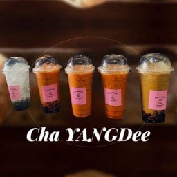 Cha YANGDee สี่แยกไฟแดงป่าไผ่ สันกำแพง