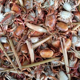 ปูนานึ่งสุก