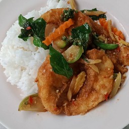 ผัดฉ่าปลาราดข้าว