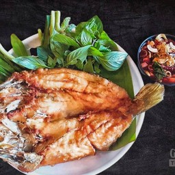 ปลากระพงอโธยา