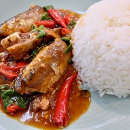 กะเพราปลากระป๋อง ราดข้าว