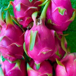 แก้วมังกร(สีขาว)