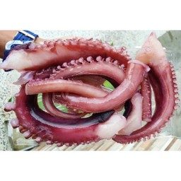 หนวดหมึกยักษ์ (1ชิ้น)