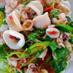 กระเพราปลาหมึก