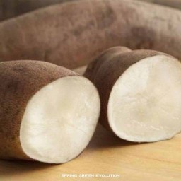 ร้านเบสผลไม้ ตลาดเทศบาล1