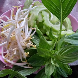 ผักสด(ถั่วงอก มะระ โหรพา)