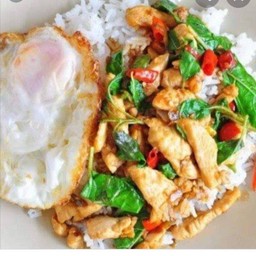 ,ผัดกระเพราไก๋ชิ้น,หมูสับ