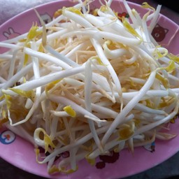 ถั่วงอกสด