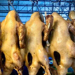 เอกเป็ดพะโล้ - ไก่ต้มน้ำปลา