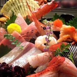Say Hi ติวานนท์