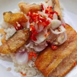 ข้าวปลาแกะครัวบ้านกอล์ฟ