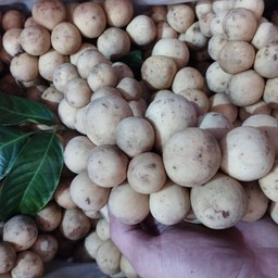 ร้านผลไม้หญิง