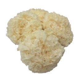 เห็ดหูหนูขาว