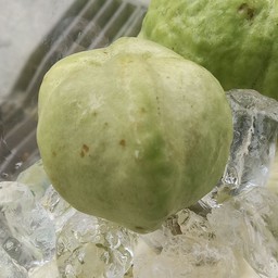 ฟรั่ง (สด)